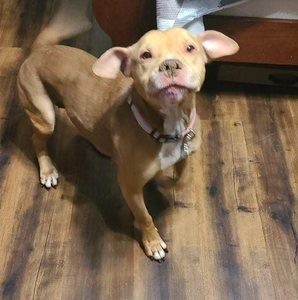 Meet your Posher, Jenn